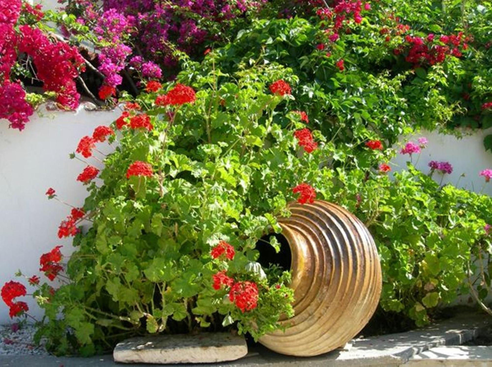 Irini Studios Alykes  Dış mekan fotoğraf
